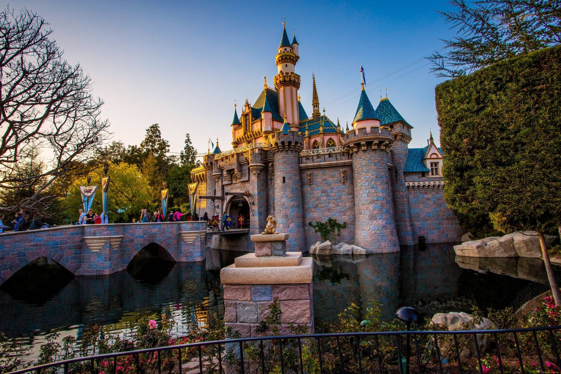 Disneyland Castle Garden Lake Background
