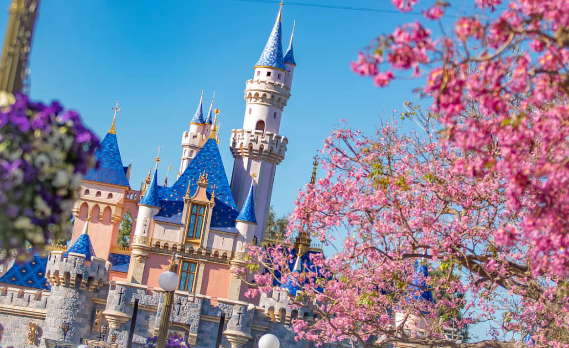 Disneyland Springtime In California Background