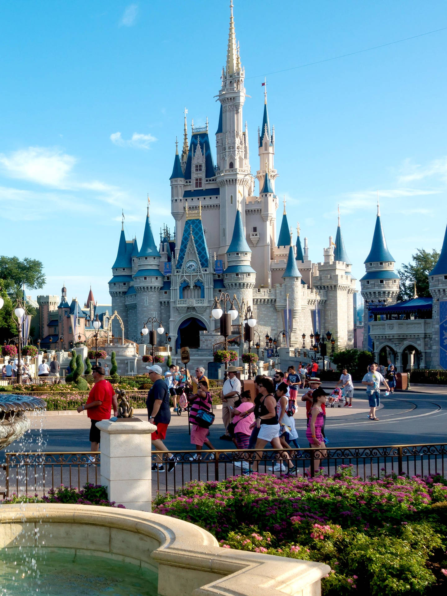 Disneyworld Castle Portrait Background