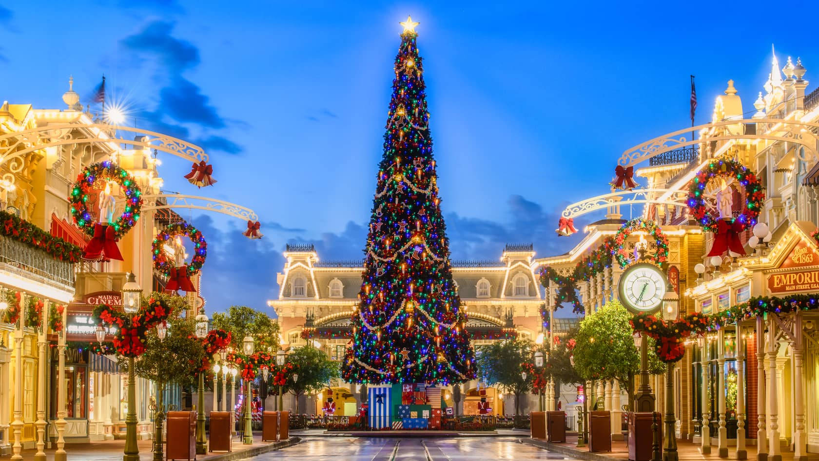 Disneyworld Christmas Tree Background