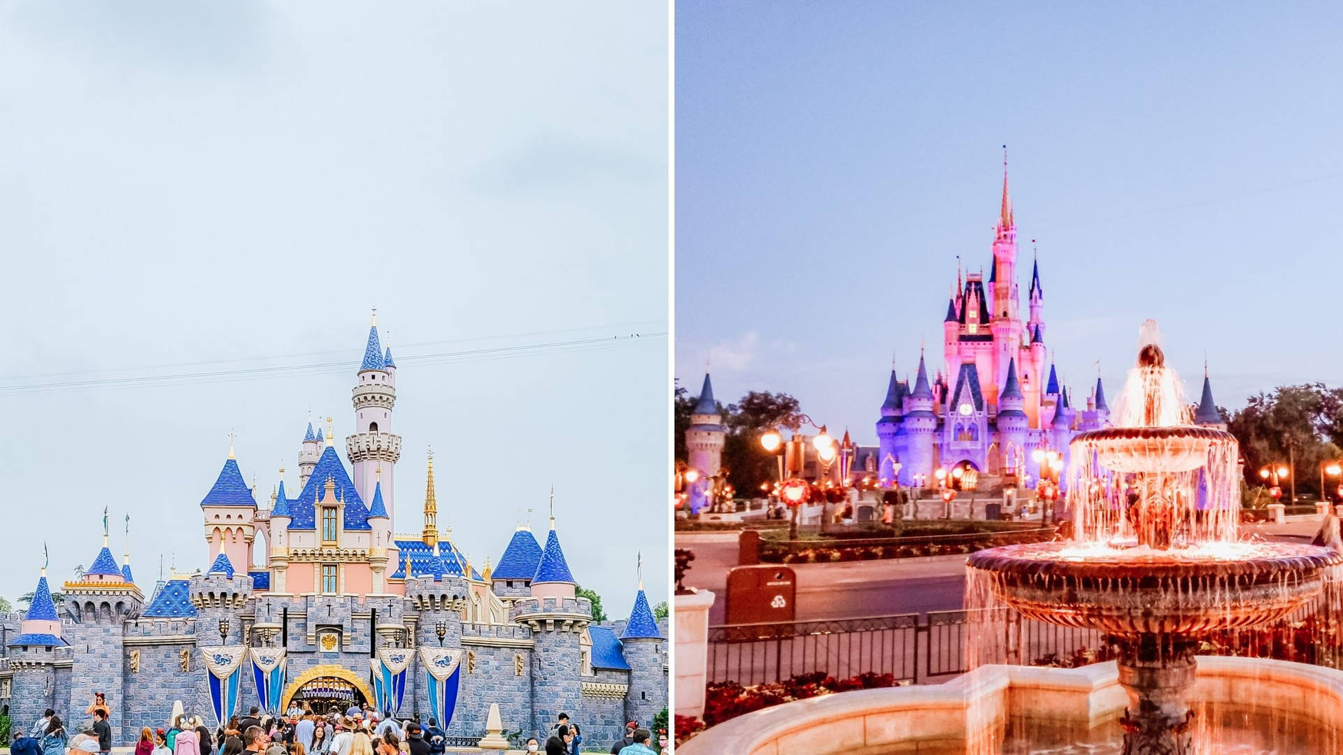 Disneyworld Day And Night