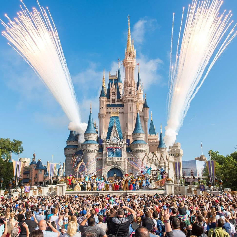 Disneyworld Daytime Fireworks Background