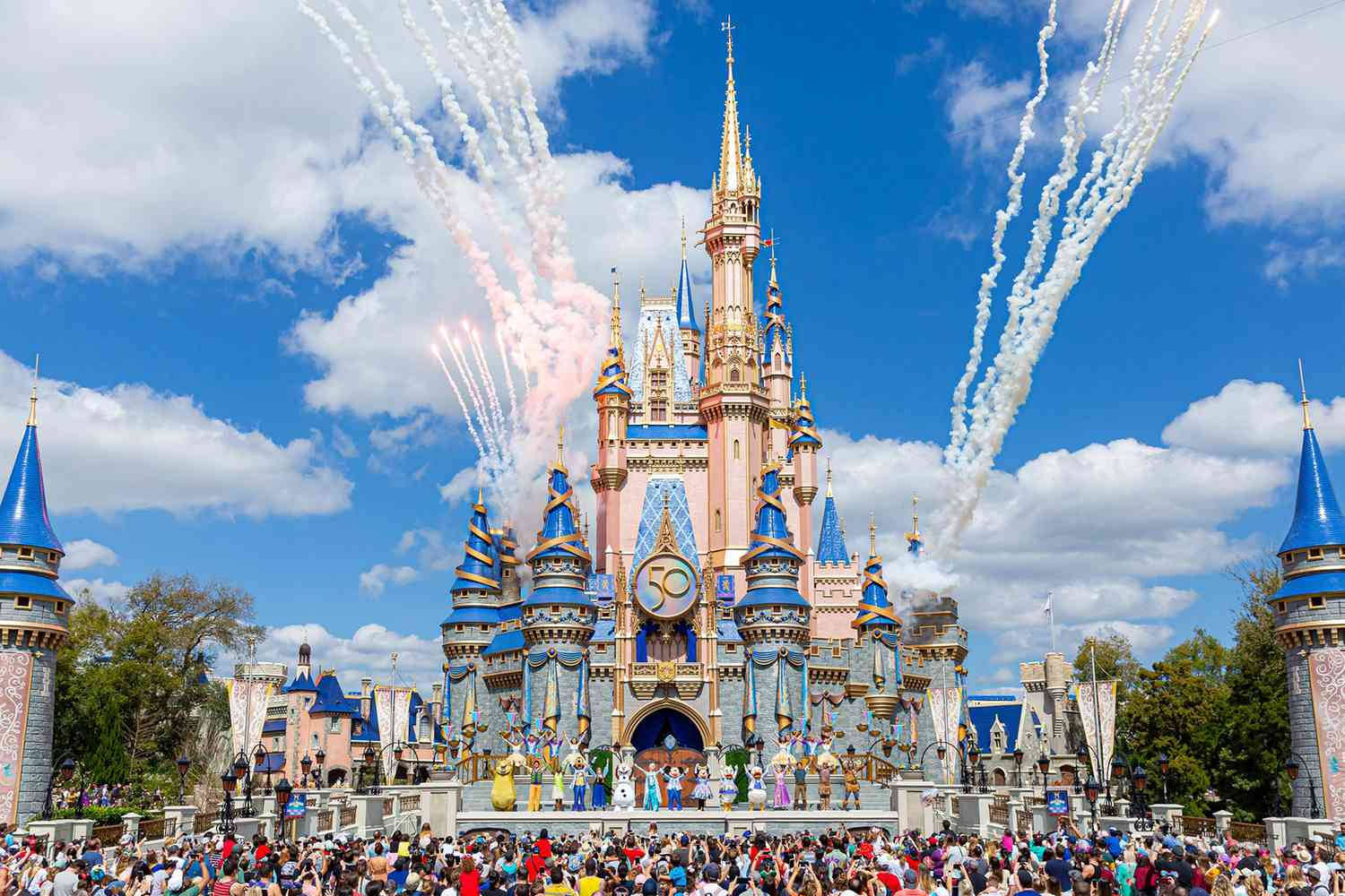 Disneyworld Pink And Blue Fireworks