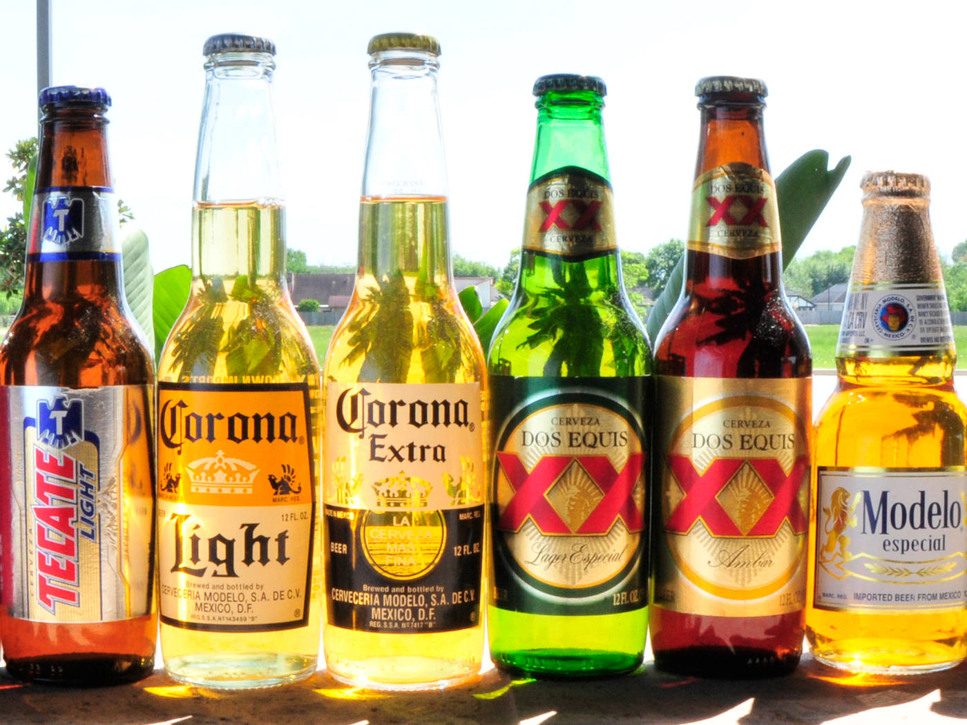 Display Of Modelo Especial Beer Bottles Background