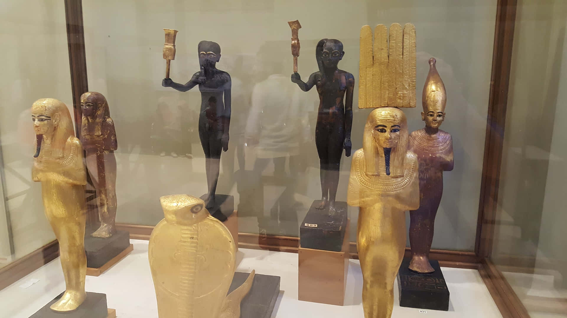 Displays Inside Egyptian Museum Background