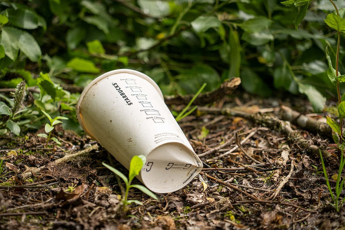 Disposable Cup On The Ground Background