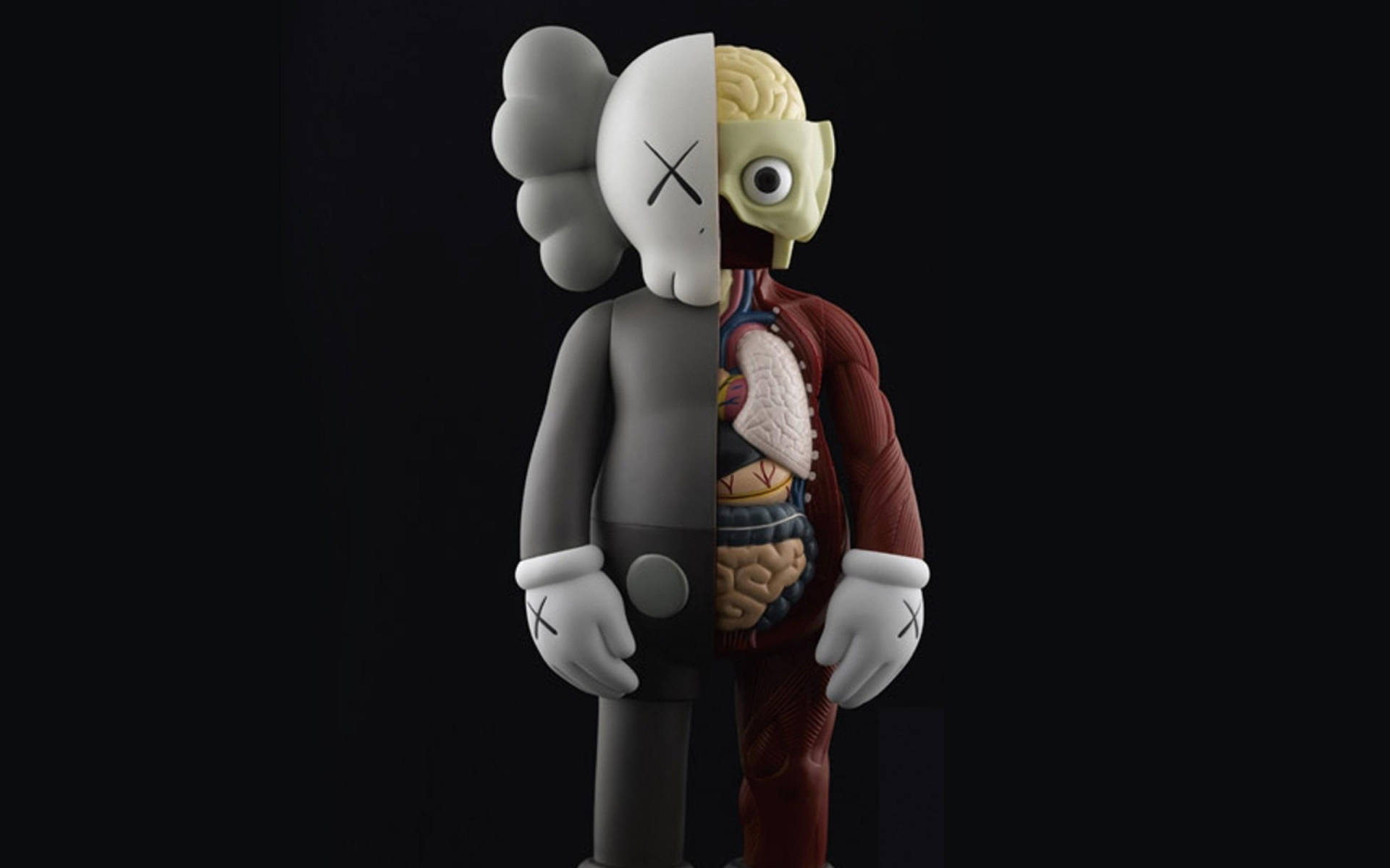 Dissected Kaws 4k Background