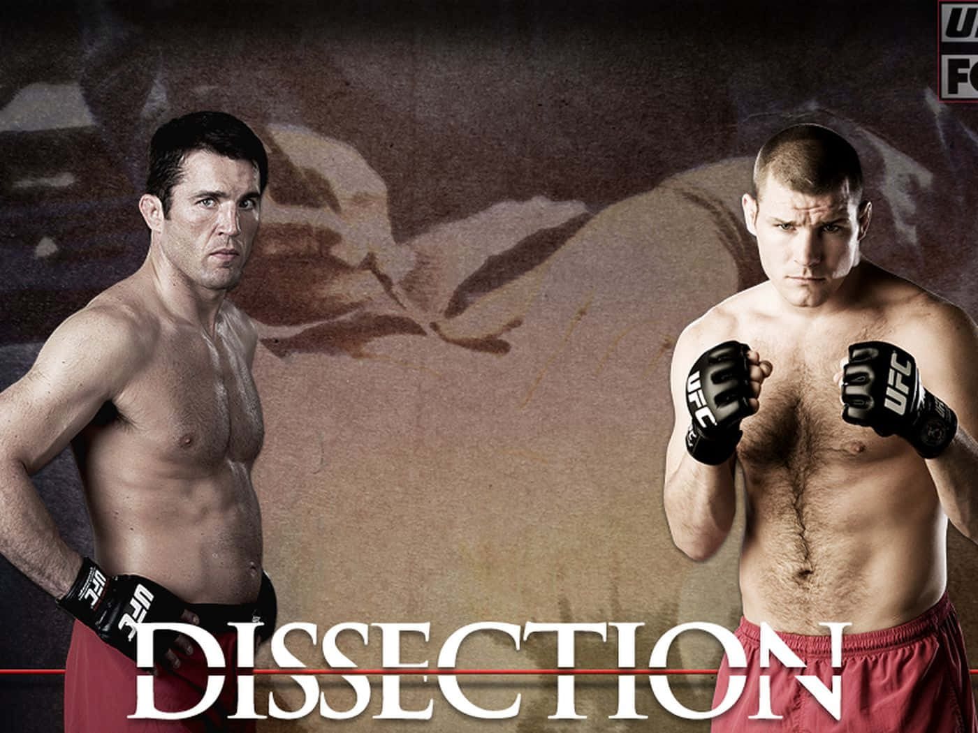 Dissection Fight With Chael Sonnen Background