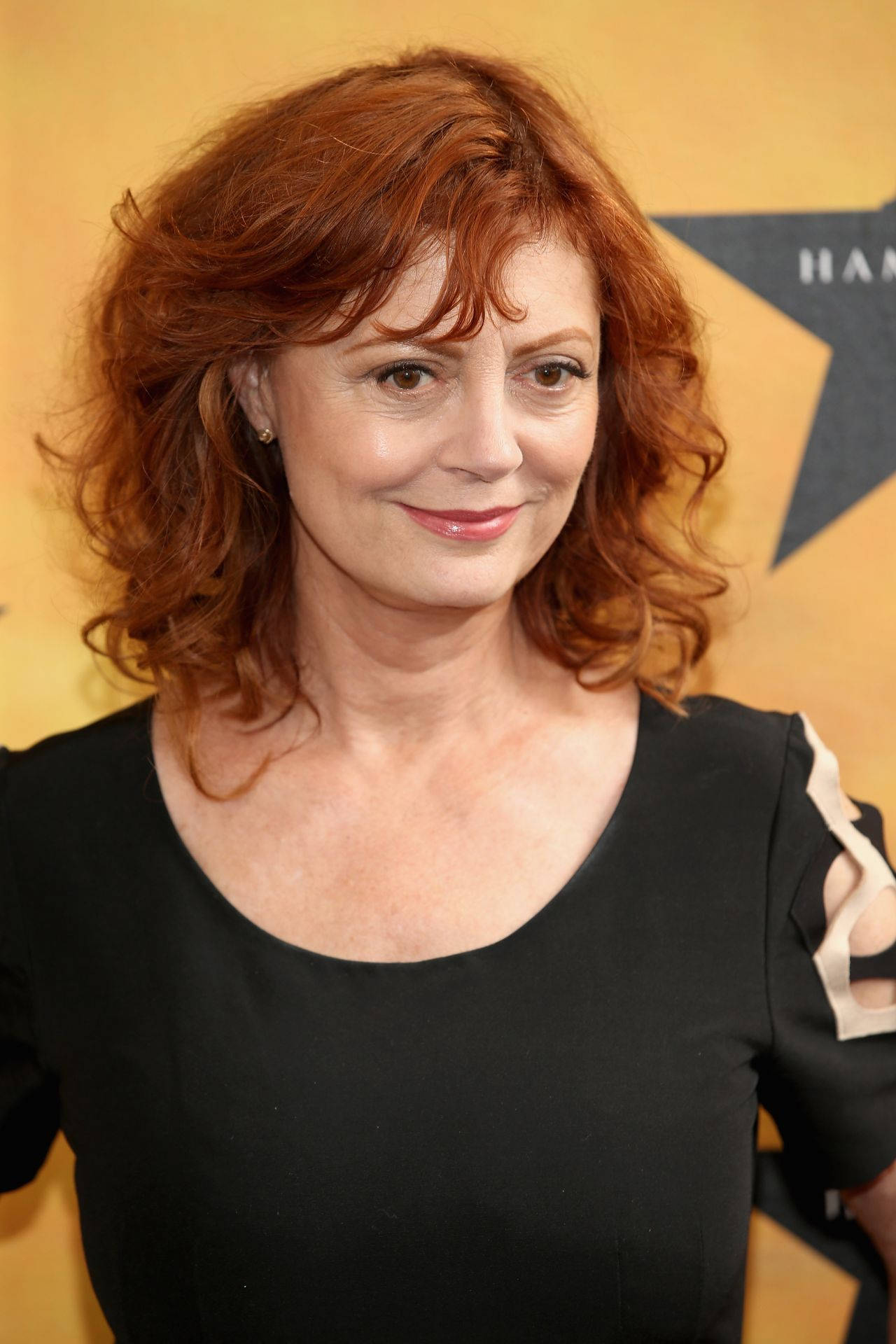 Distinguished Actress Susan Sarandon At The 2013 Toronto International Film Festival Background