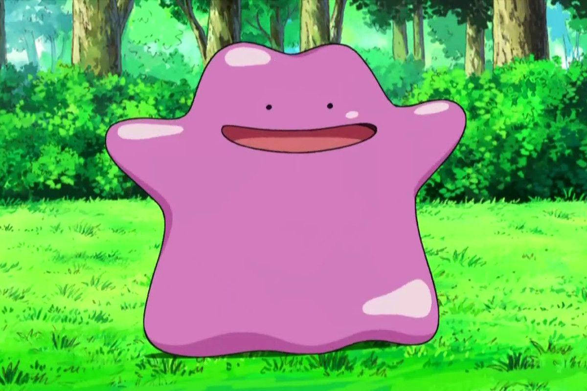 Ditto In A Green Forest Background