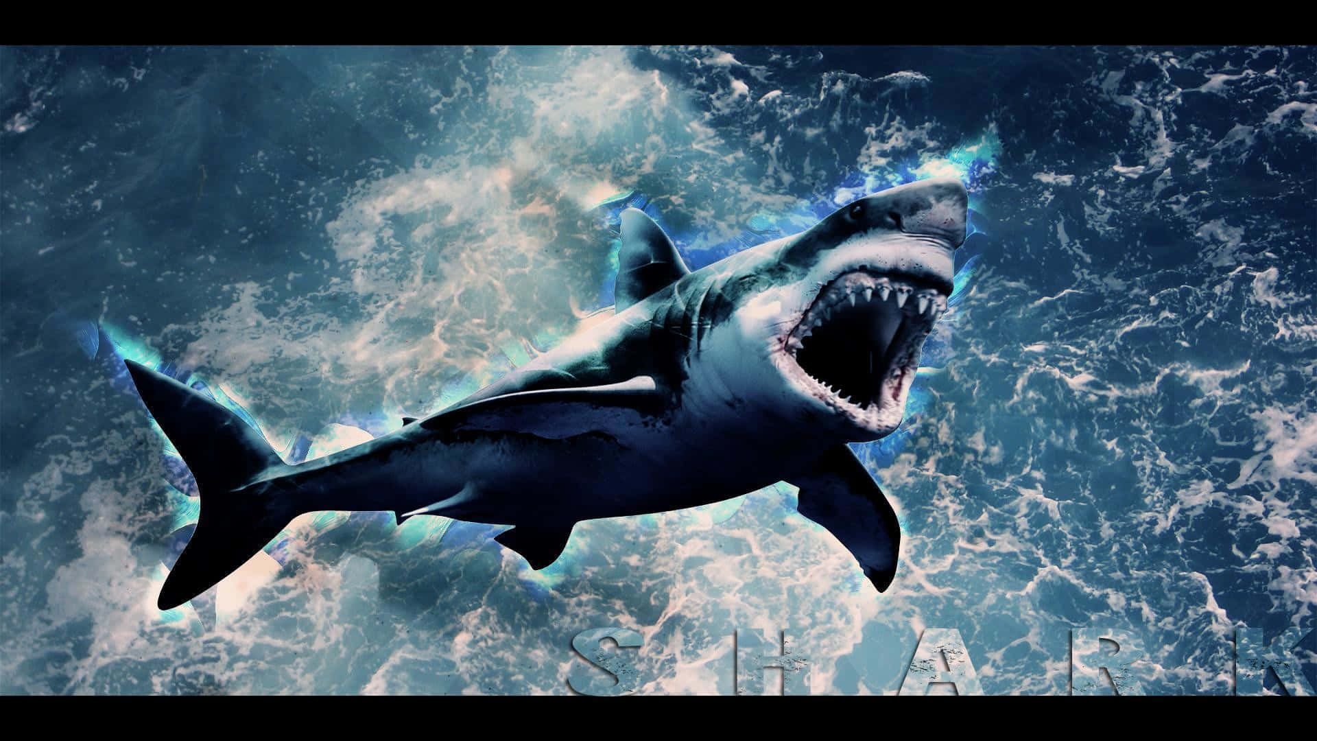 Dive In And Explore A World Of Adventure With Cool Shark Background