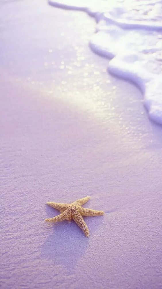 Dive Into The Beauty Of Sea Background