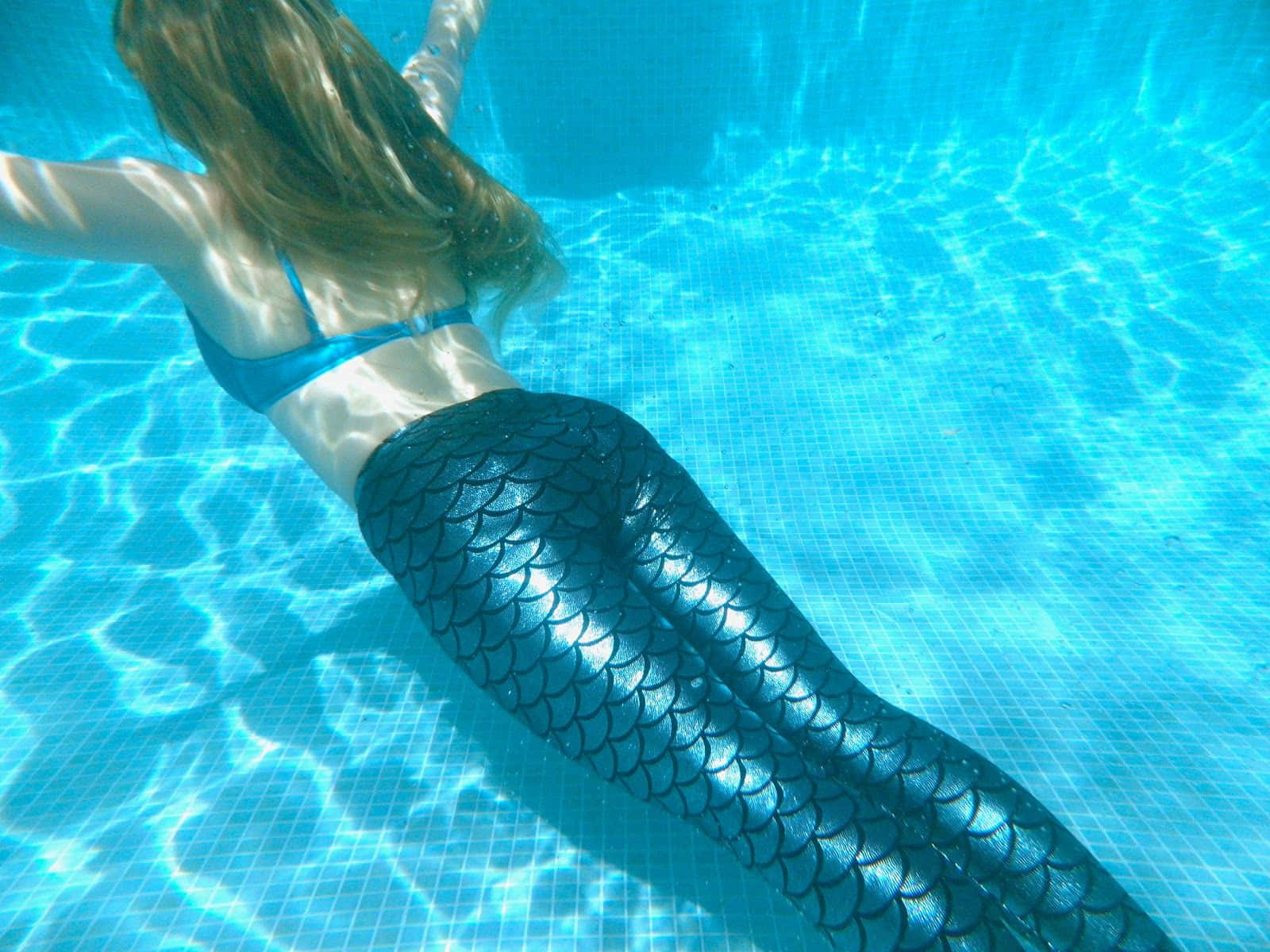 Dive Into The Mysterious Depths!