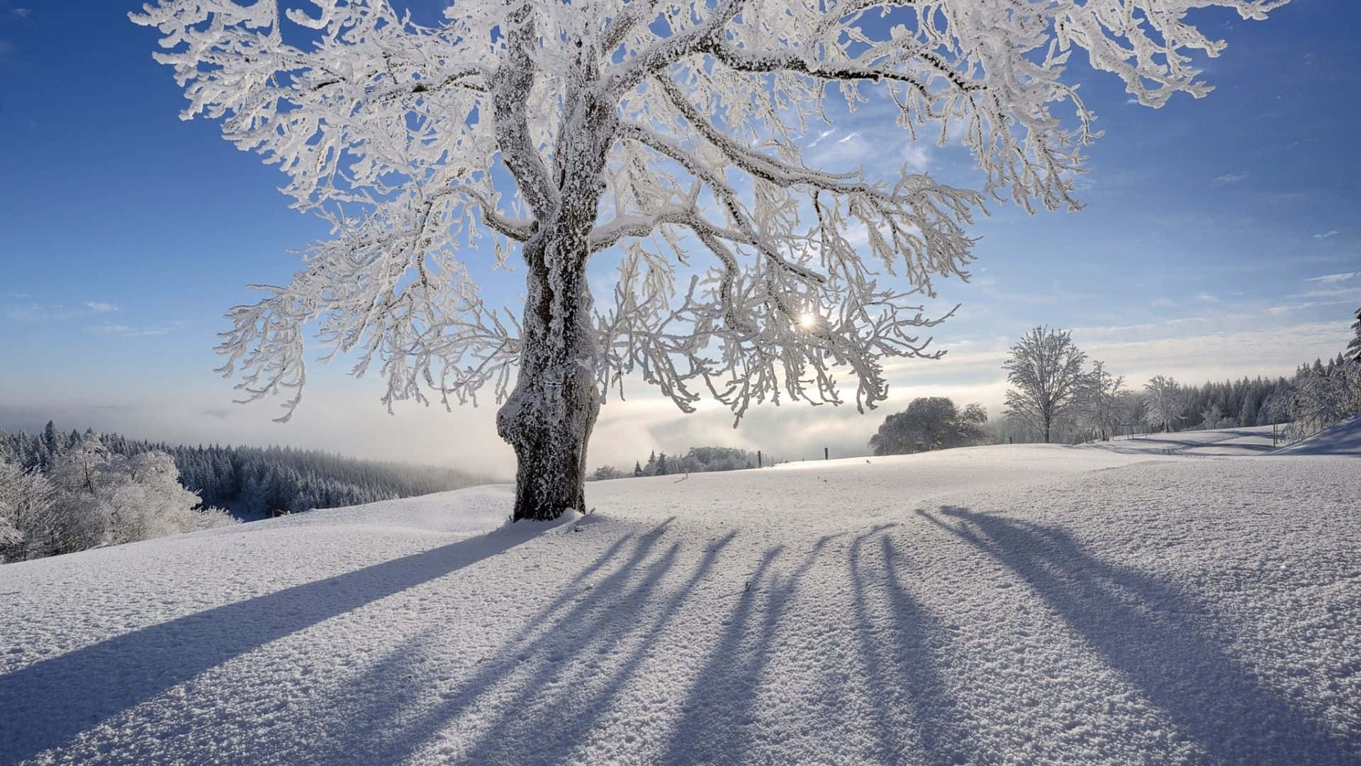 Dive Into The Mystical Beauty Of New Hampshire Winter. Background