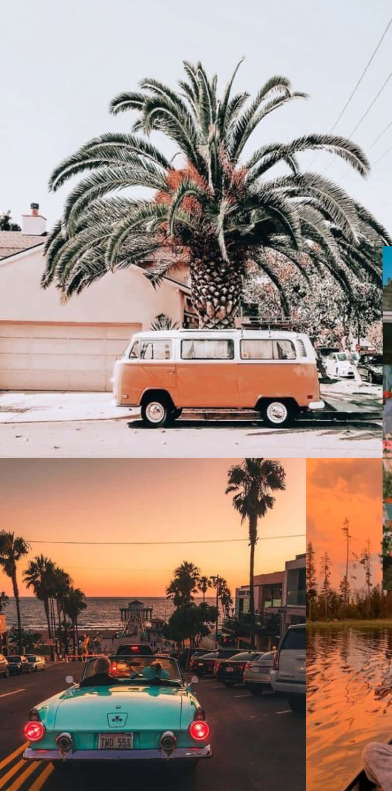 Dive Into The Summer Season With This Aesthetically Pleasing Laptop Background