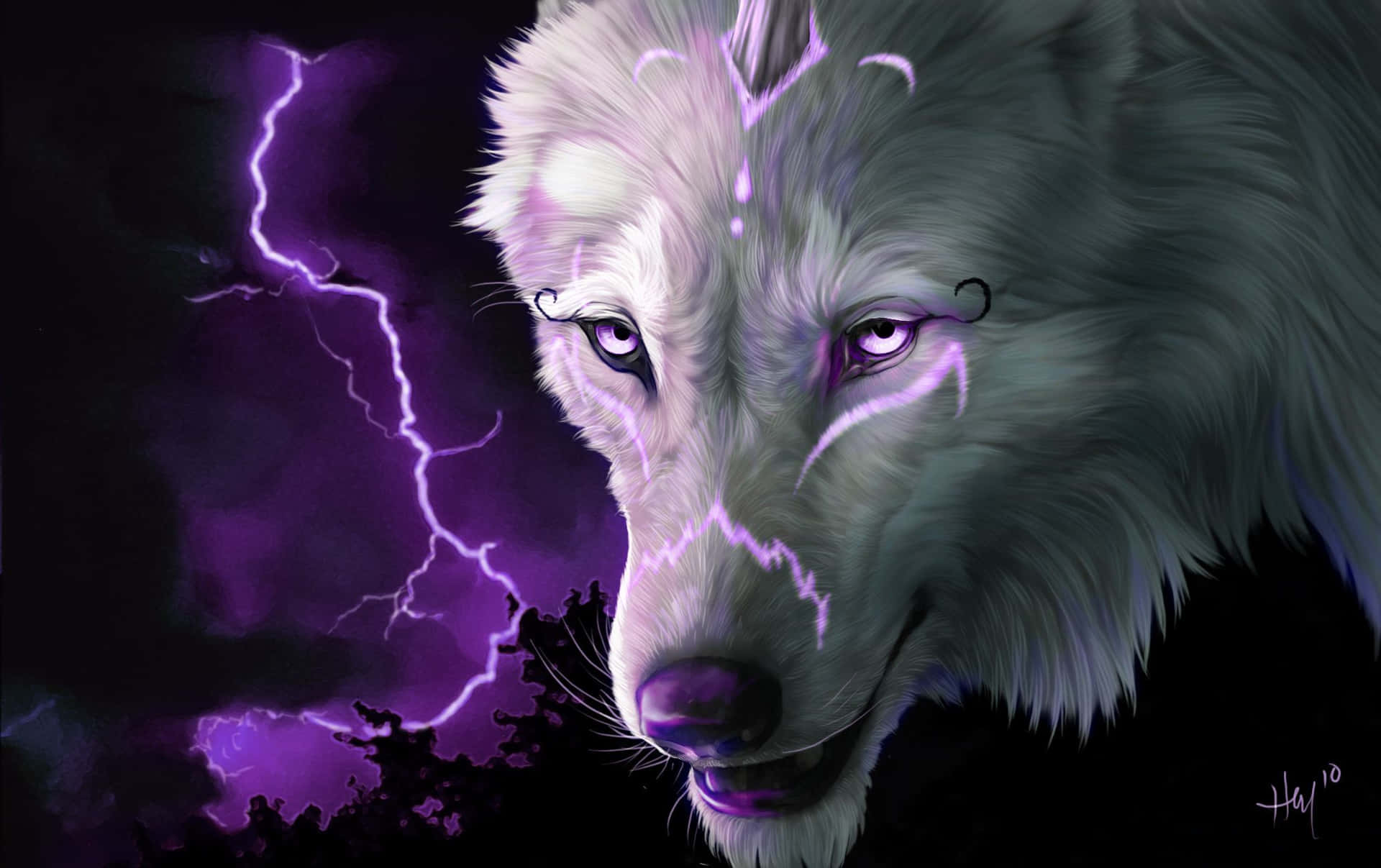 Dive Into The Wild And Explore The Mysteriousness Behind The Super Cool Wolf! Background