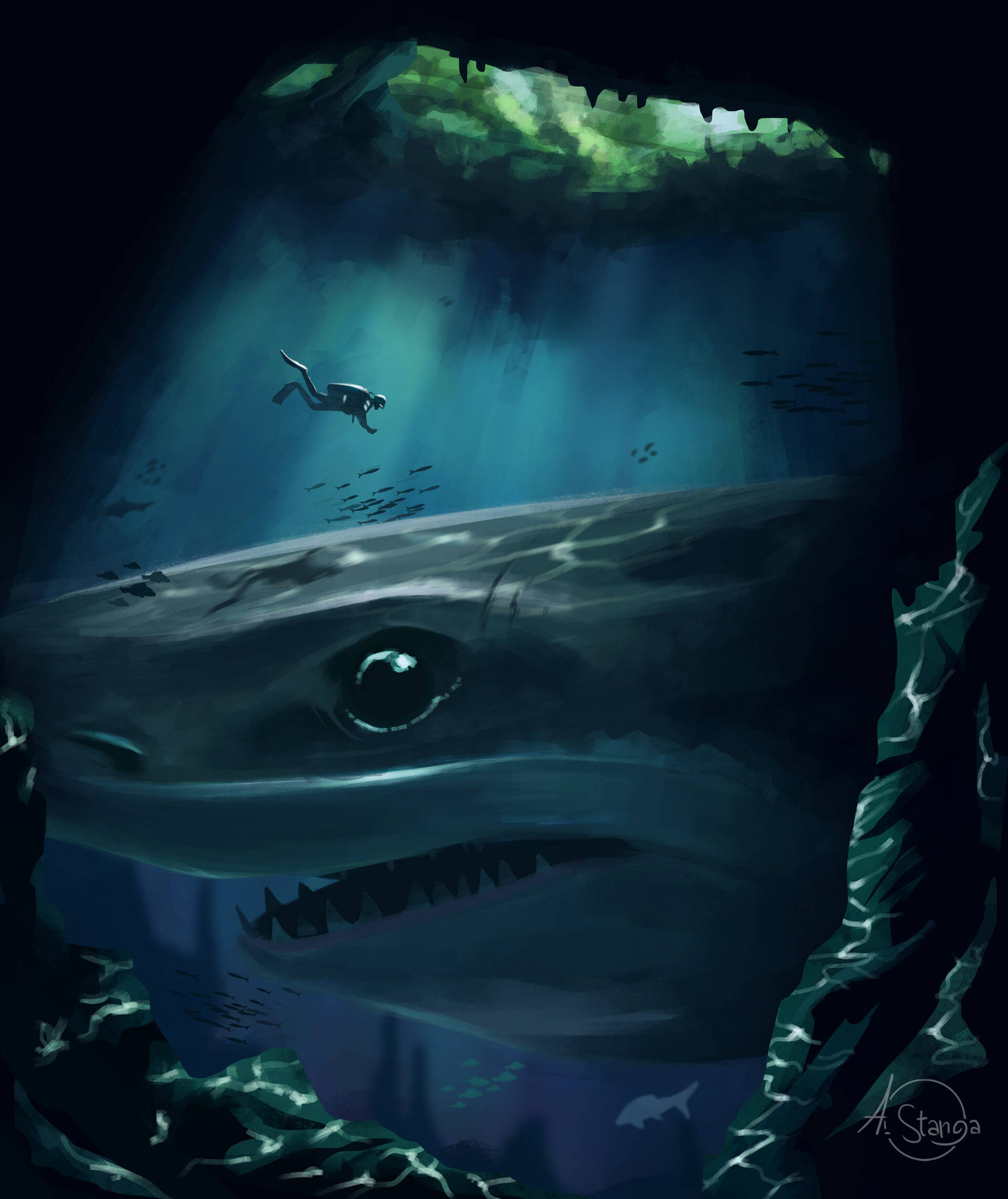Diver And A Shark Art Background