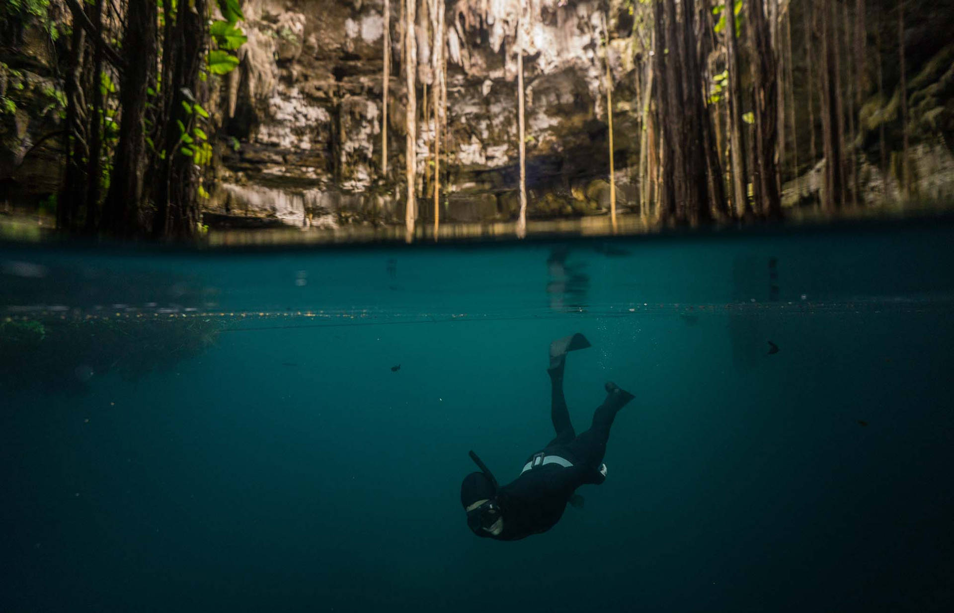 Diver Exploring The Underwater Beauty In Yucatan Background