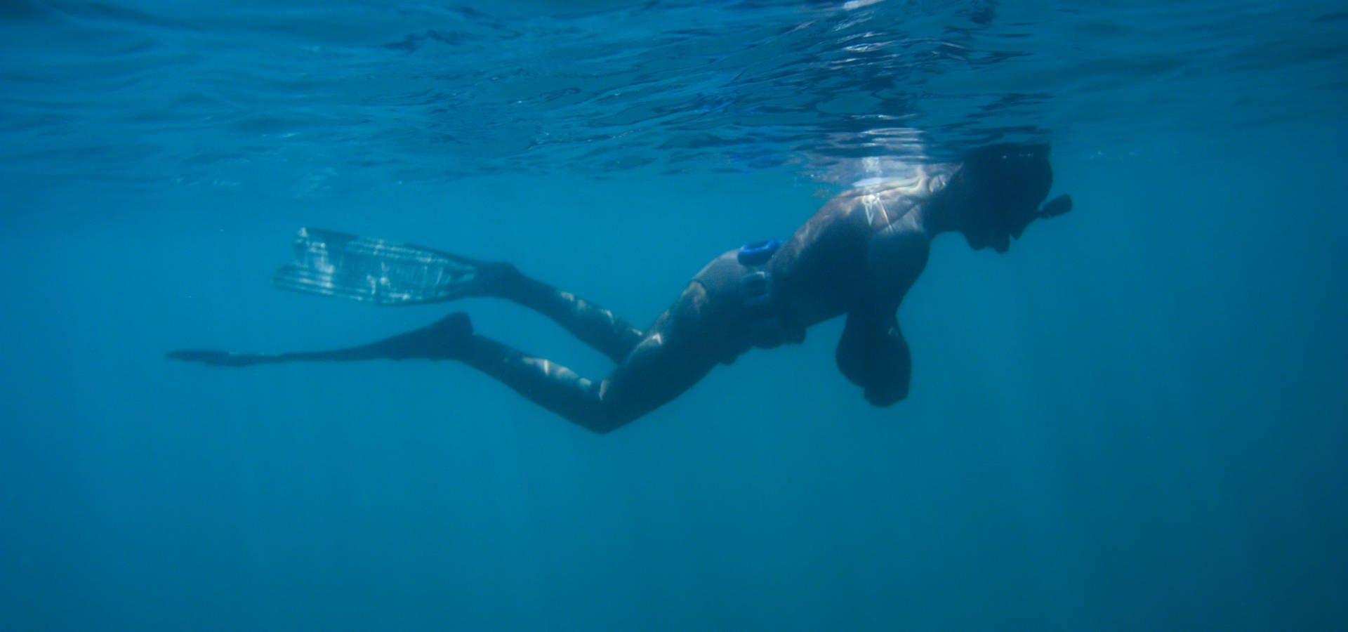 Diver Snorkeling Alone Background