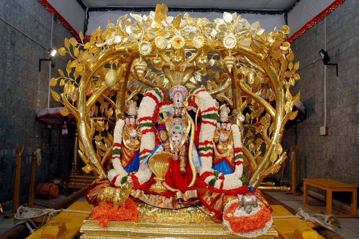 Divine Image Of Lord Venkateswara Swamy On His Golden Chariot