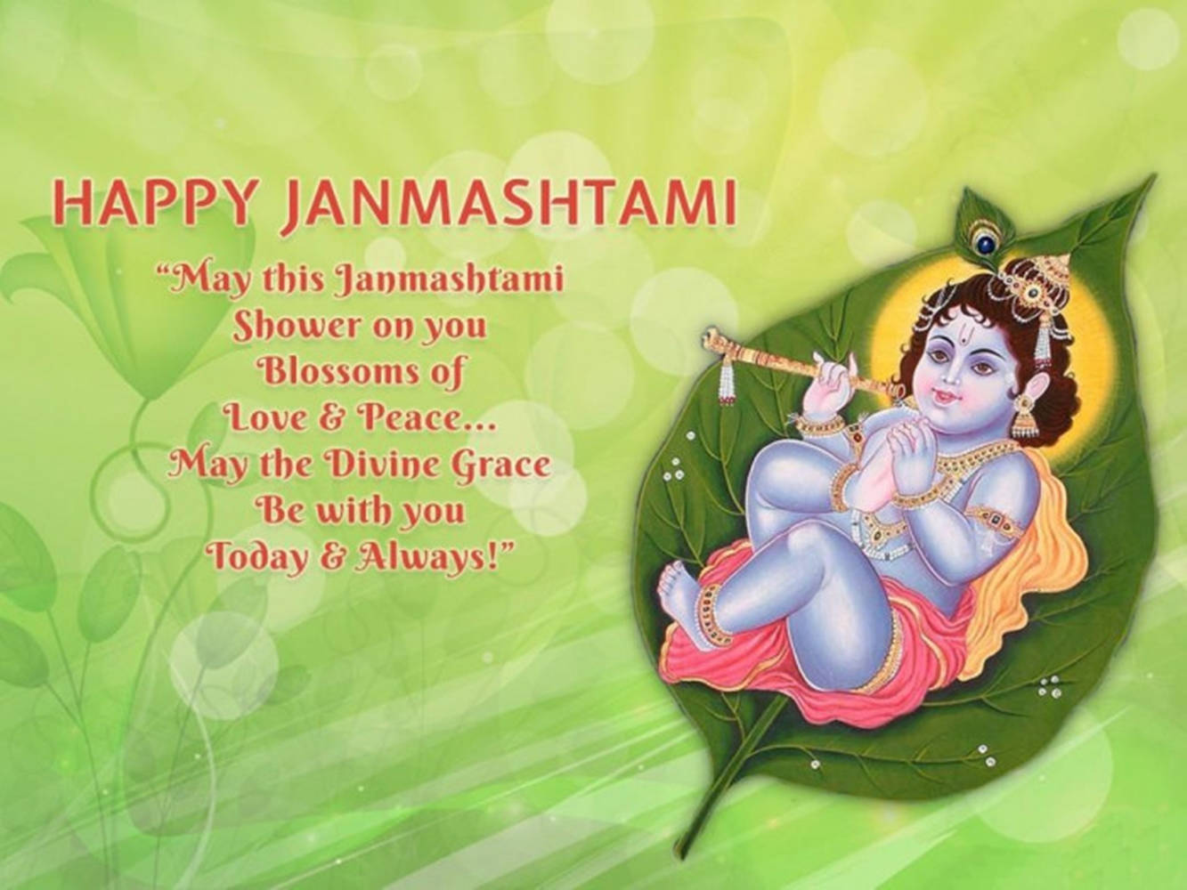 Divine Innocence - Celebrating Krishna Janmashtami Background