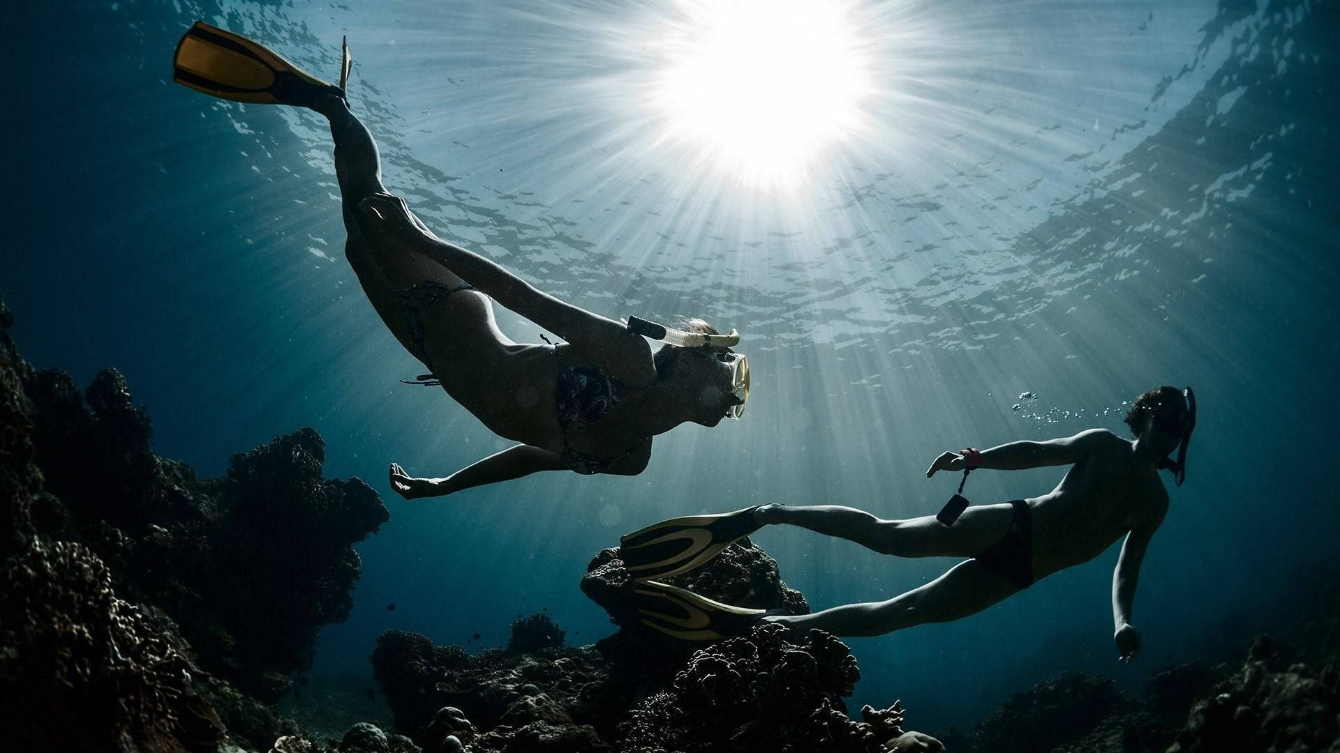 Diving Couple Above The Coral Reefs