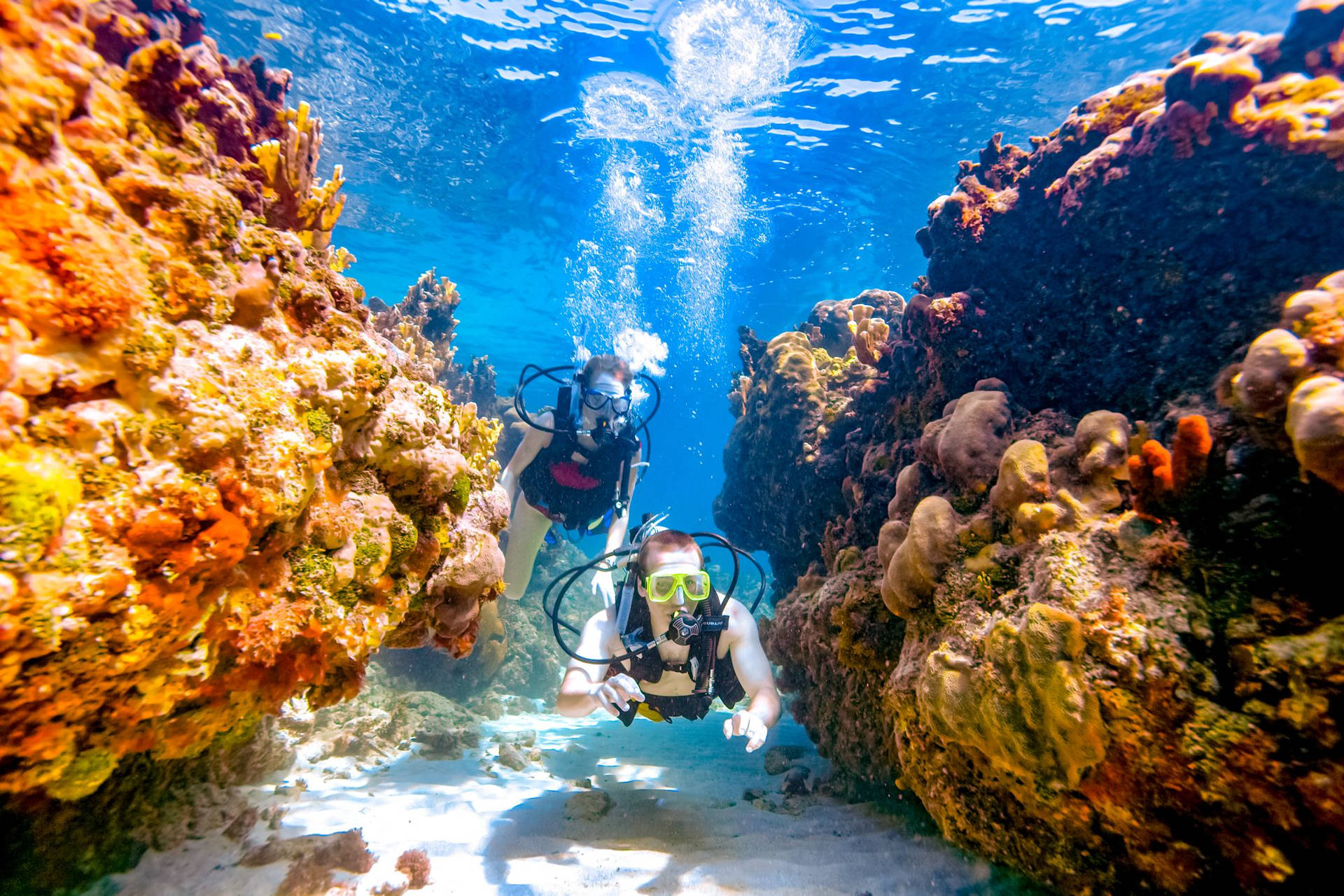 Diving In Jamaica Background