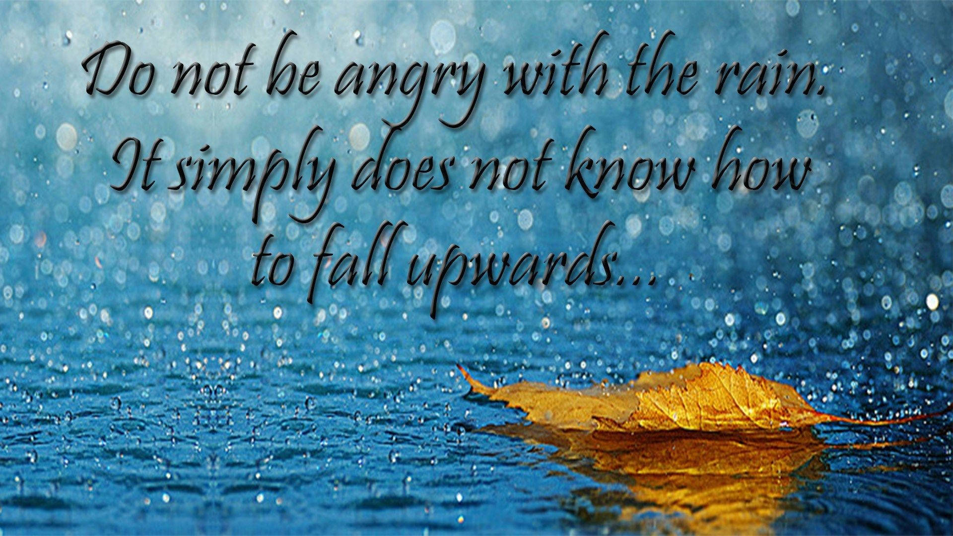 Do Not Be Angry Quote Most Beautiful Rain Background