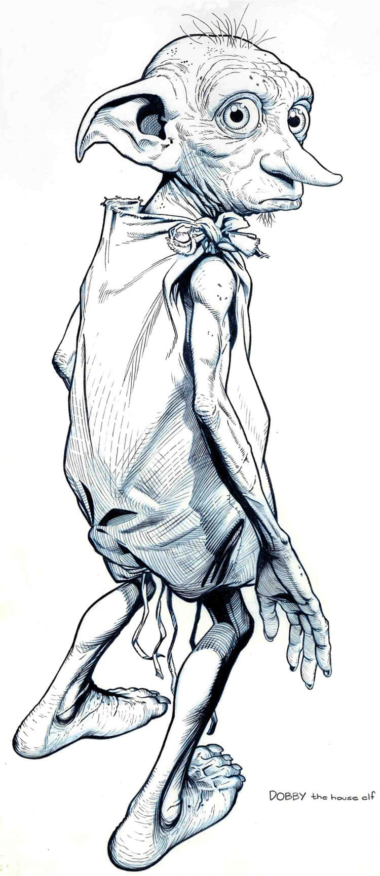 Dobby The House Elf Enjoying The Freedom Granted By Harry Potter Background