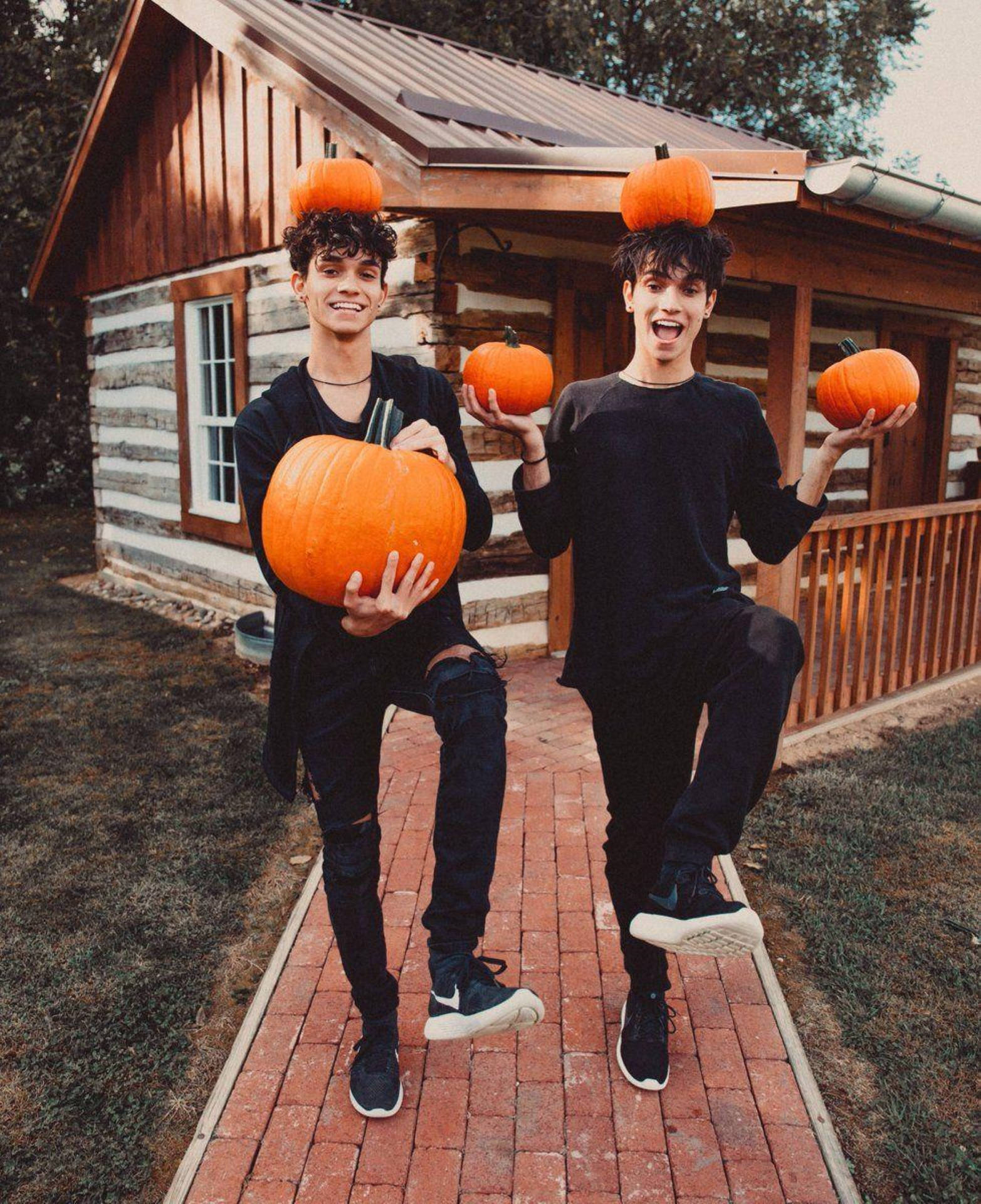 Dobre Brothers Twins And Pumpkins Background