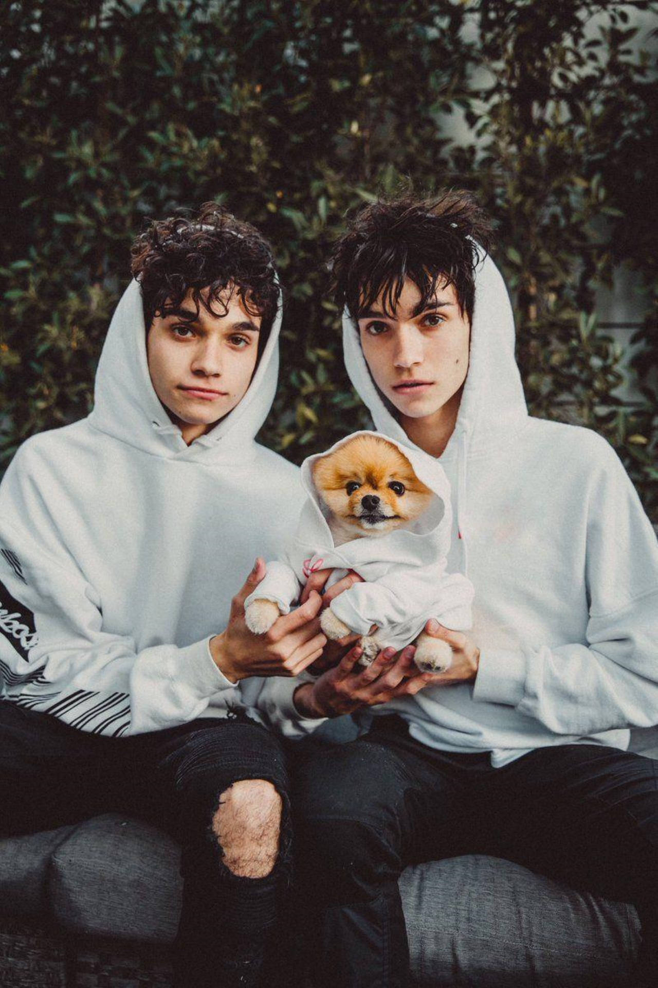 Dobre Brothers Twins With A Puppy Background