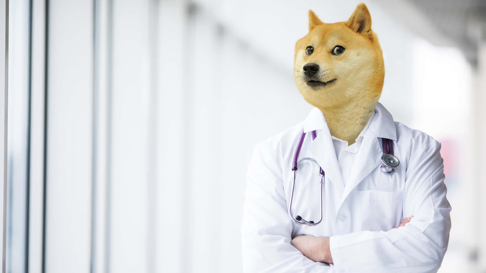 Doctor Doge In Action Background