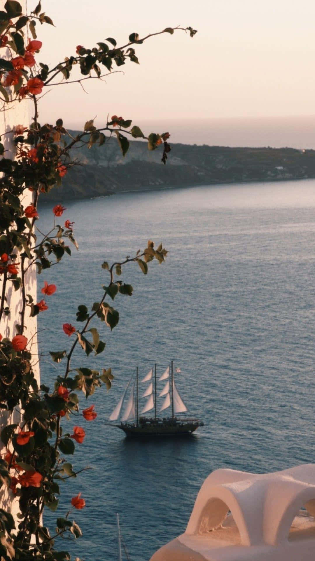 Document And Explore The Beauty Of Life With Your Travel Aesthetic Phone