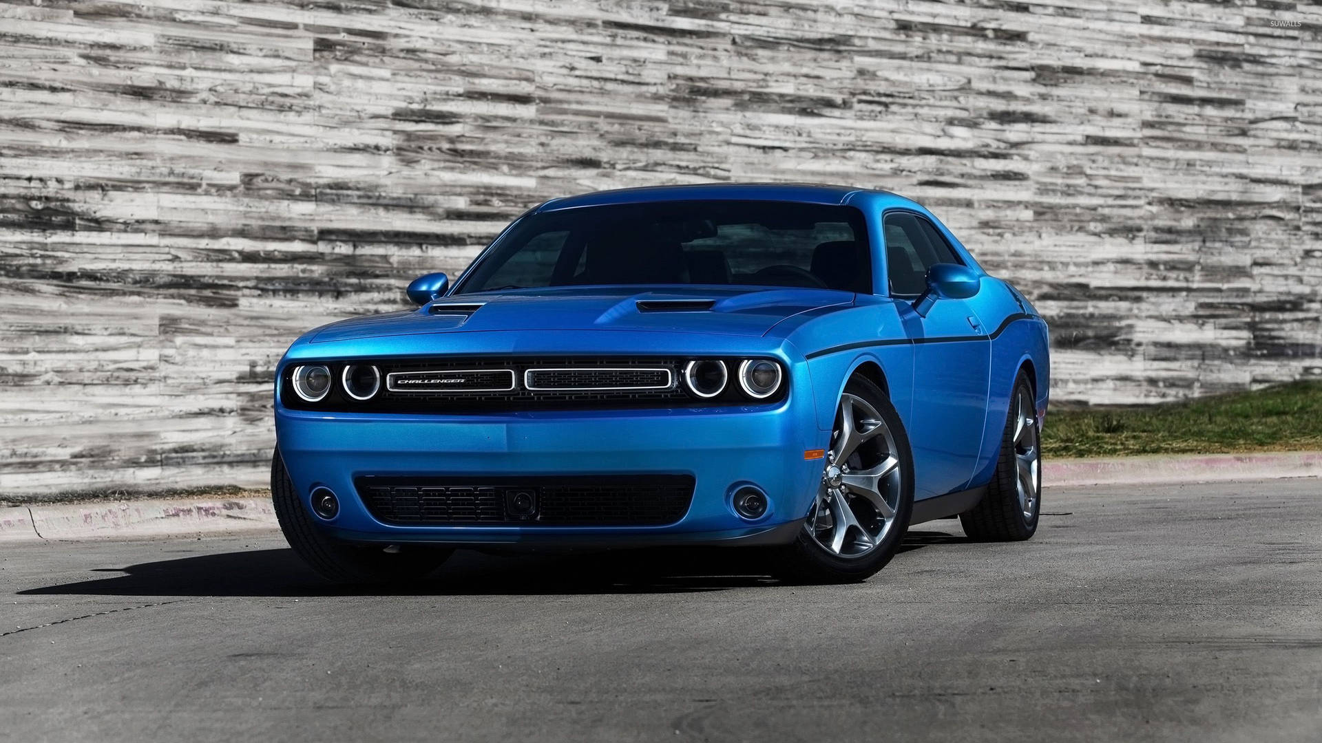 Dodge Challenger Blue Background