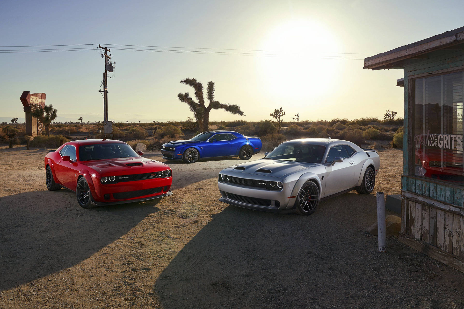 Dodge Challenger Color Variants Background