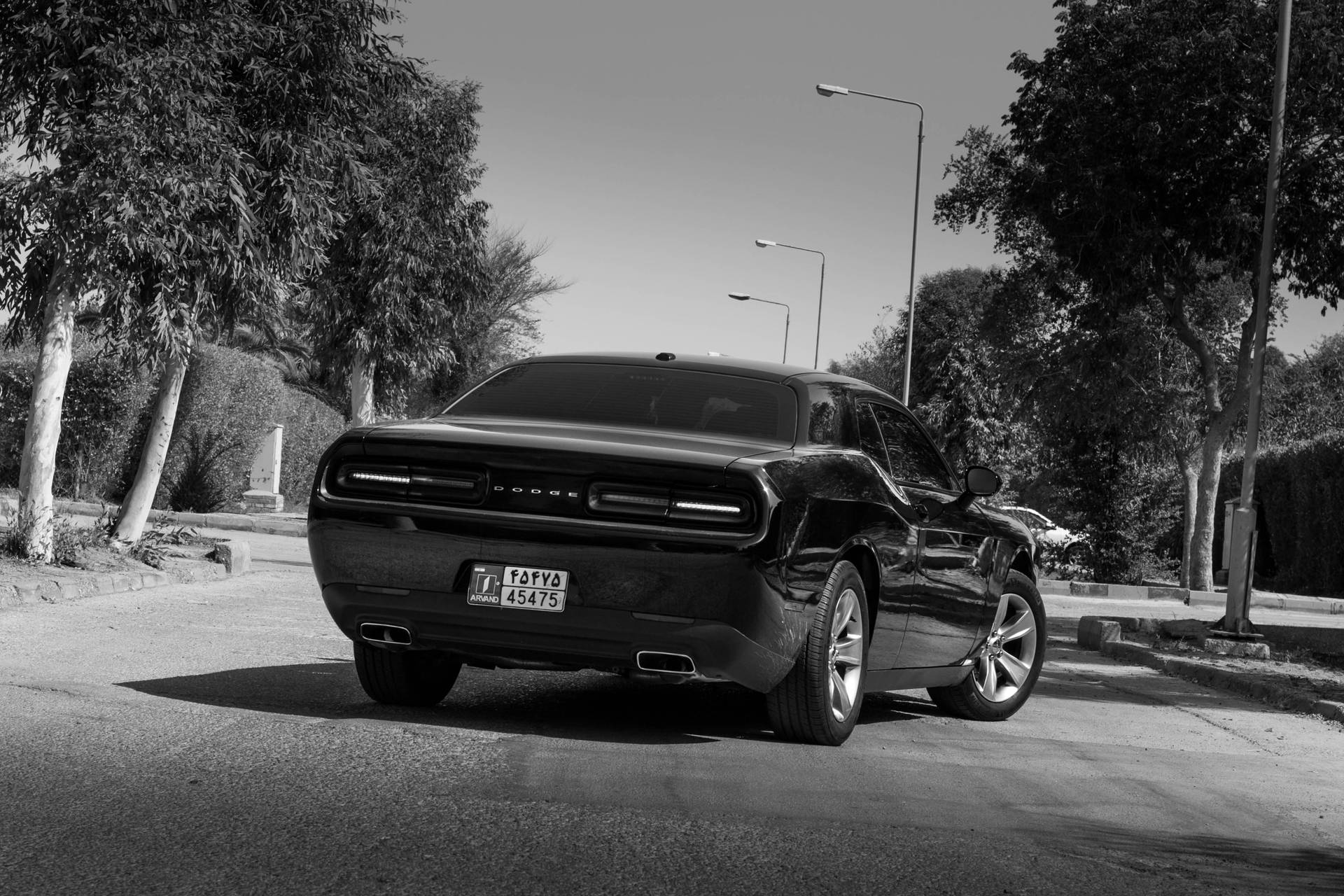 Dodge Challenger Greyscale Background