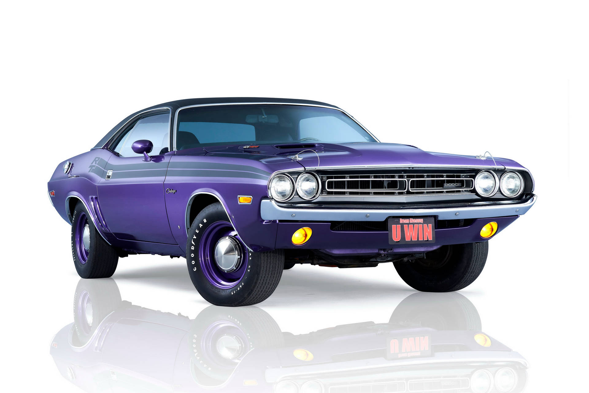 Dodge Challenger In Purple Color