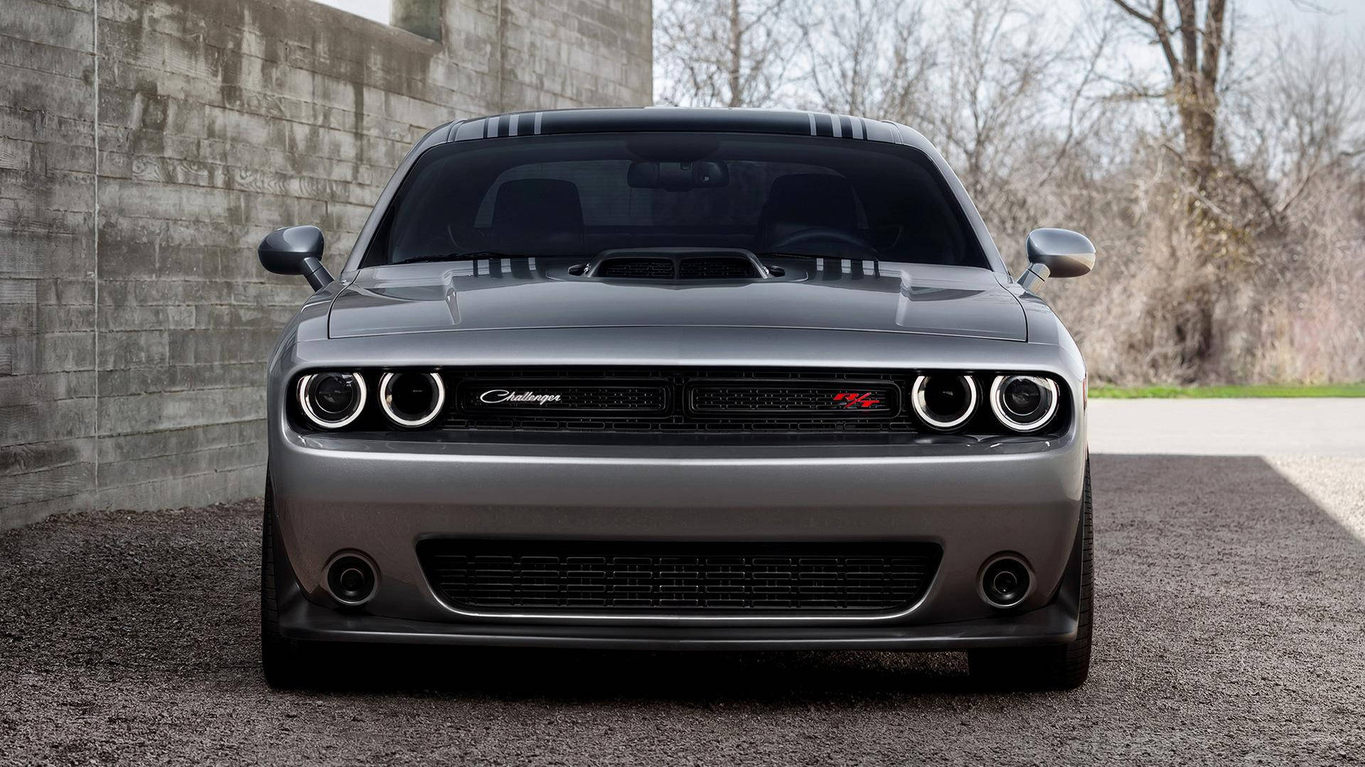Dodge Challenger In Silver Paint Background