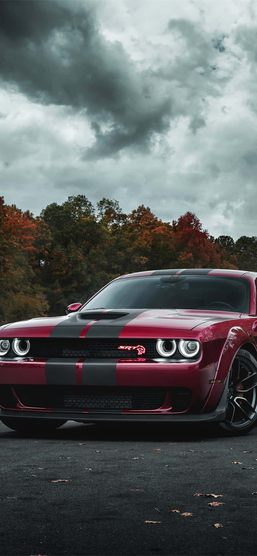 Dodge Challenger Srt Srt Srt Srt Srt Srt Srt