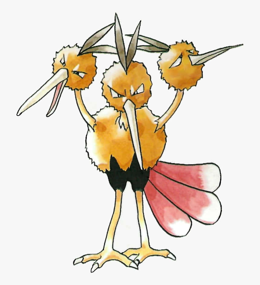 Dodrio Illustration In White