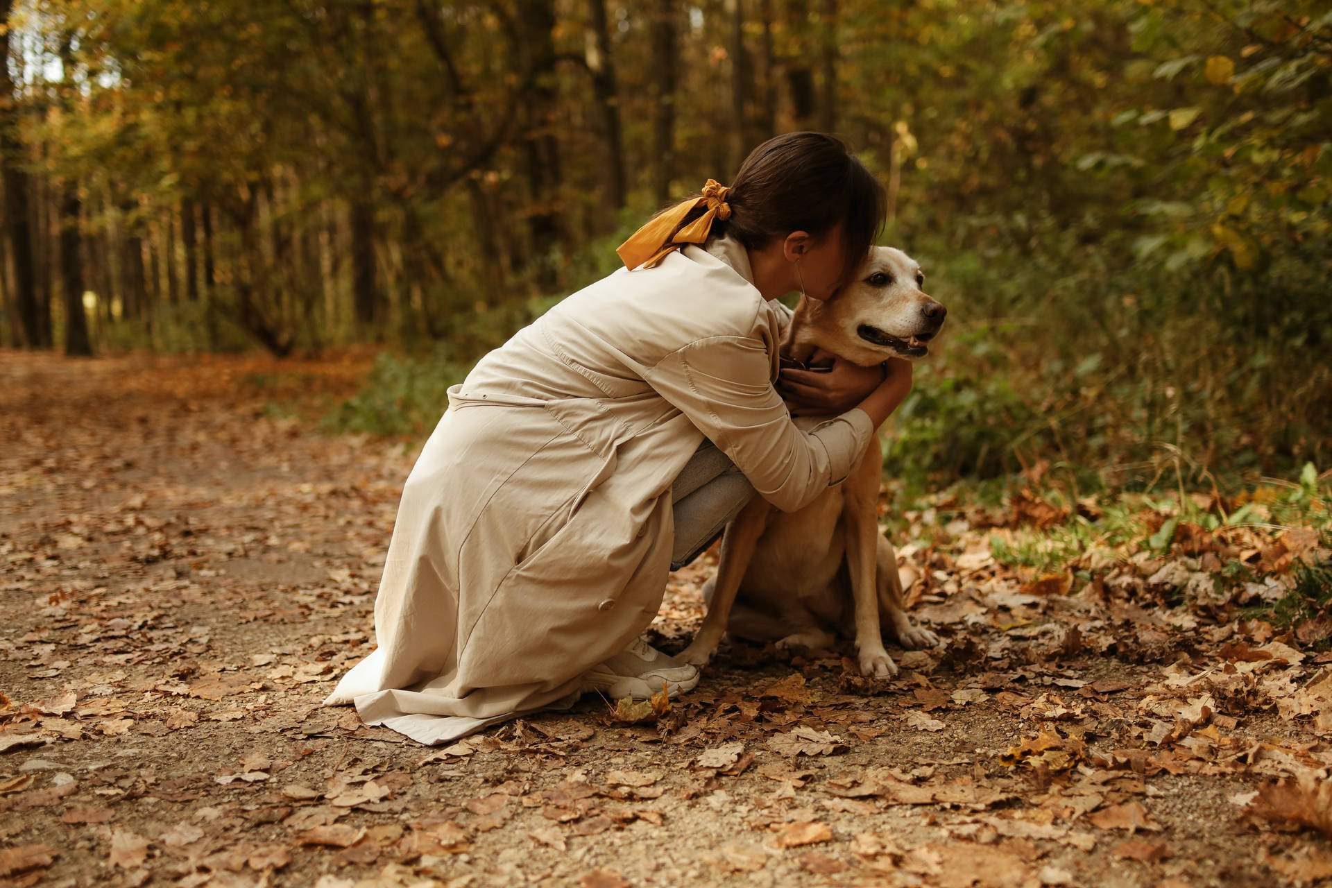 Dog And Girl Enjoying The Place Background