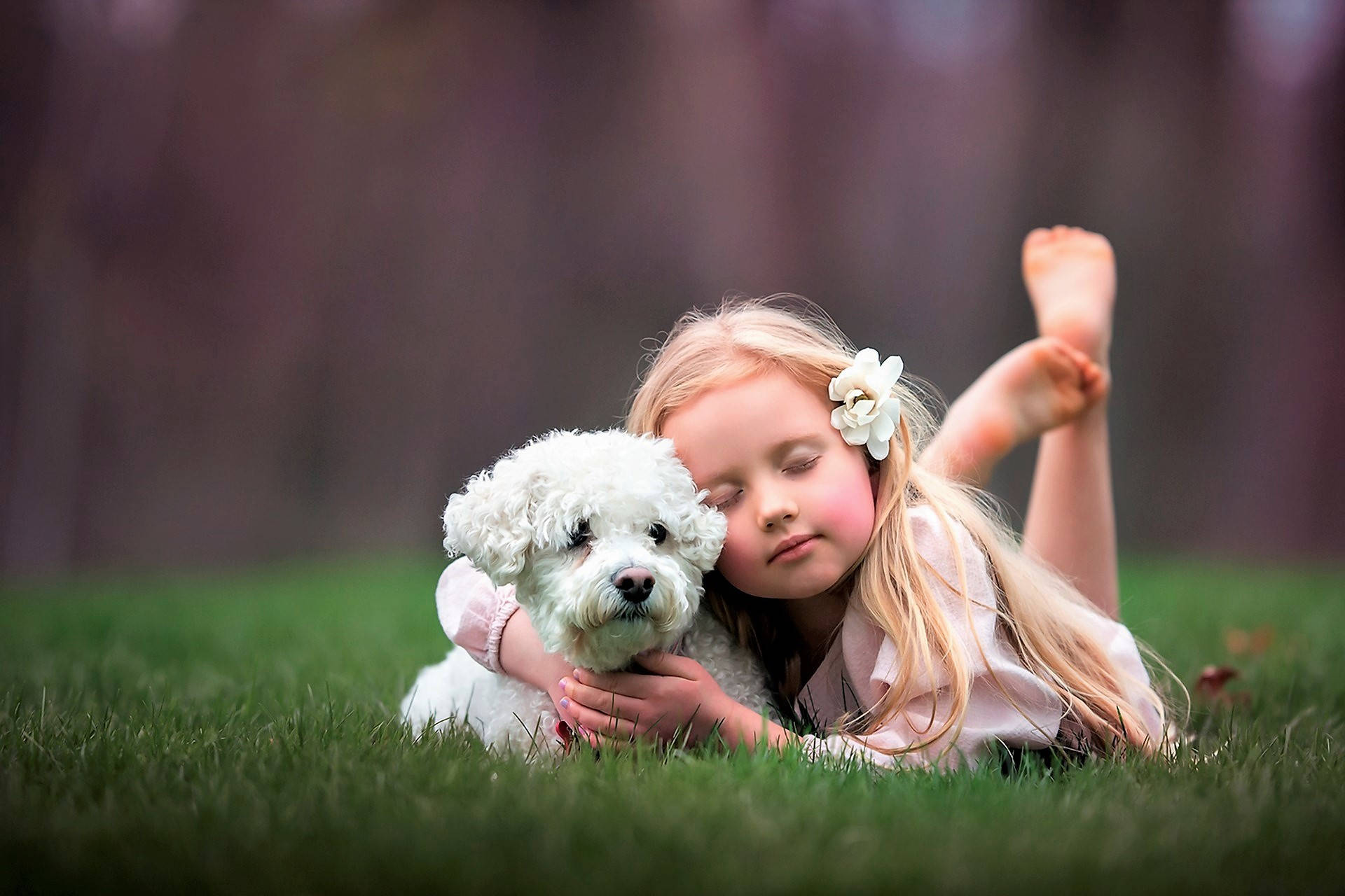 Dog And Girl Green Grass Background