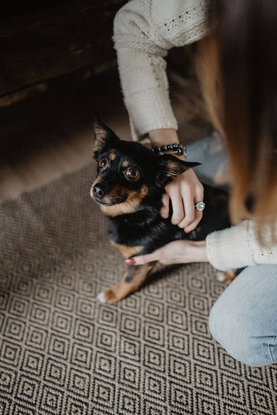 Dog And Girl Happy Together Background