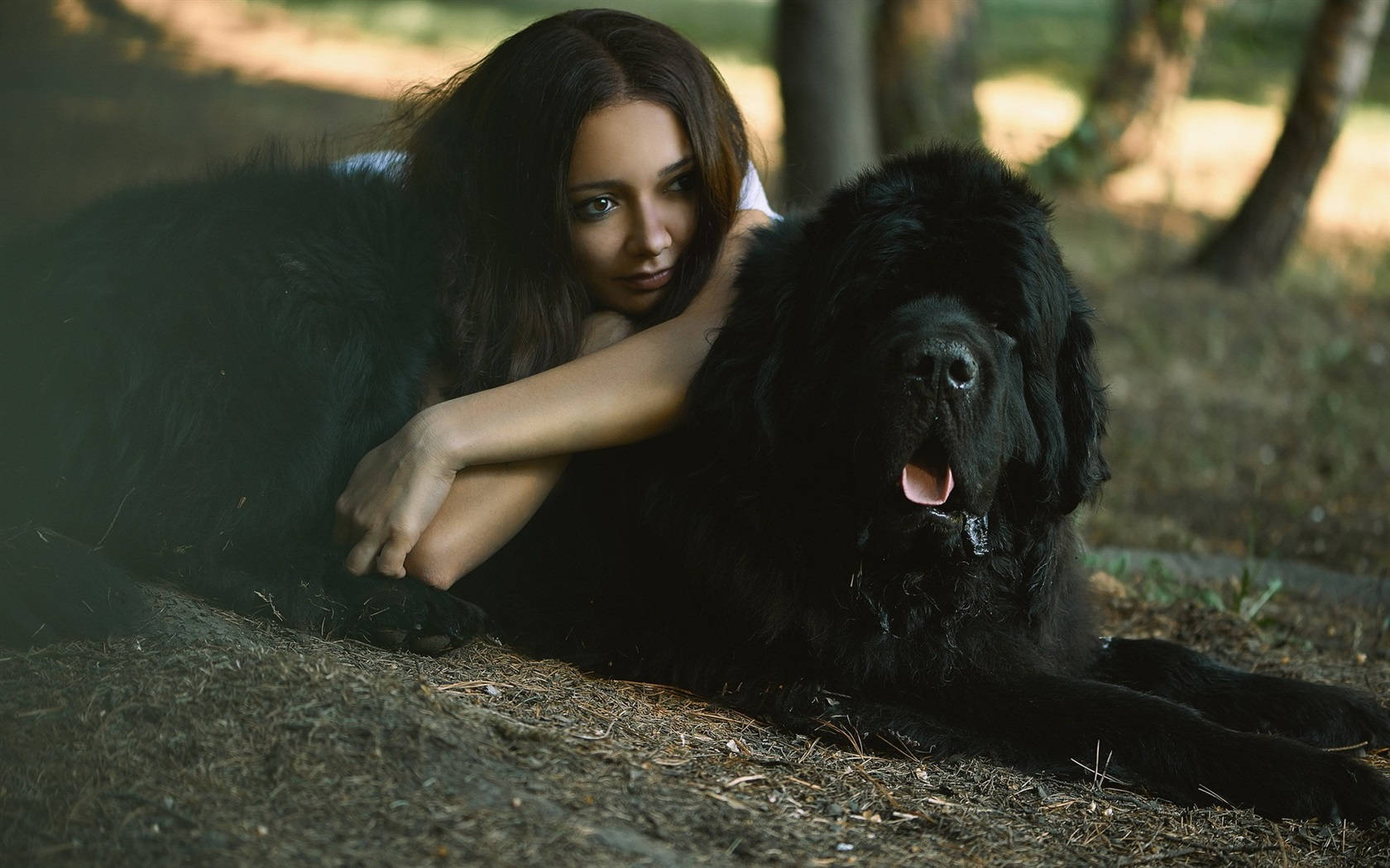 Dog And Girl In A Day Light Background