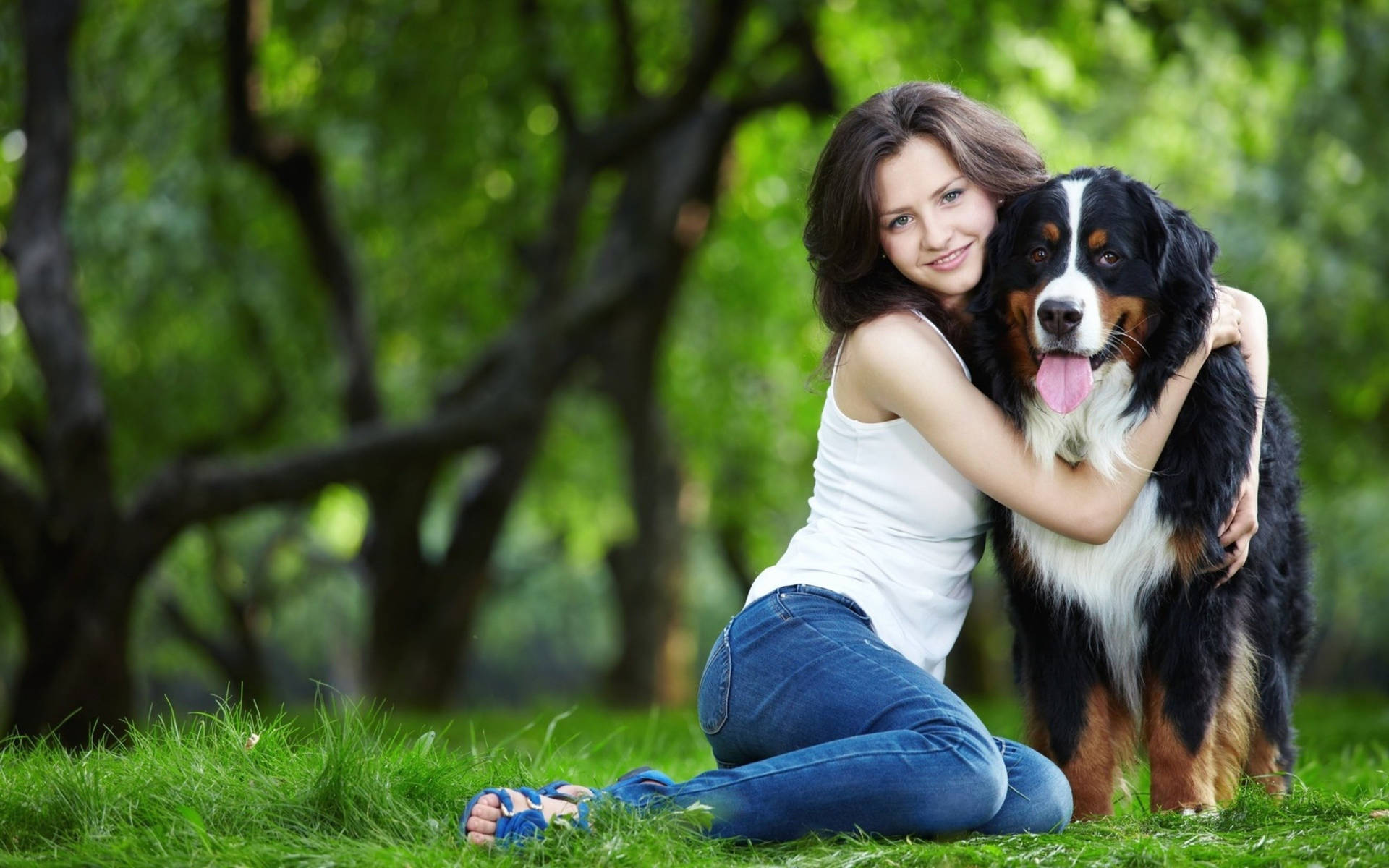 Dog And Girl In A Field