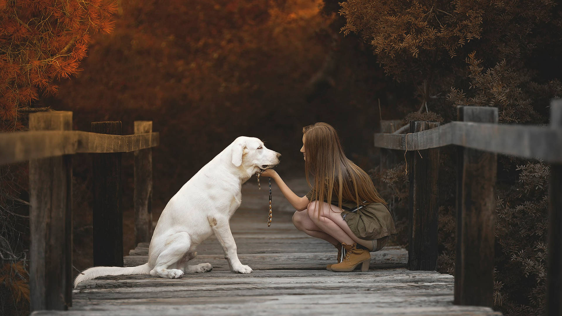 Dog And Girl Looking Each Other Background