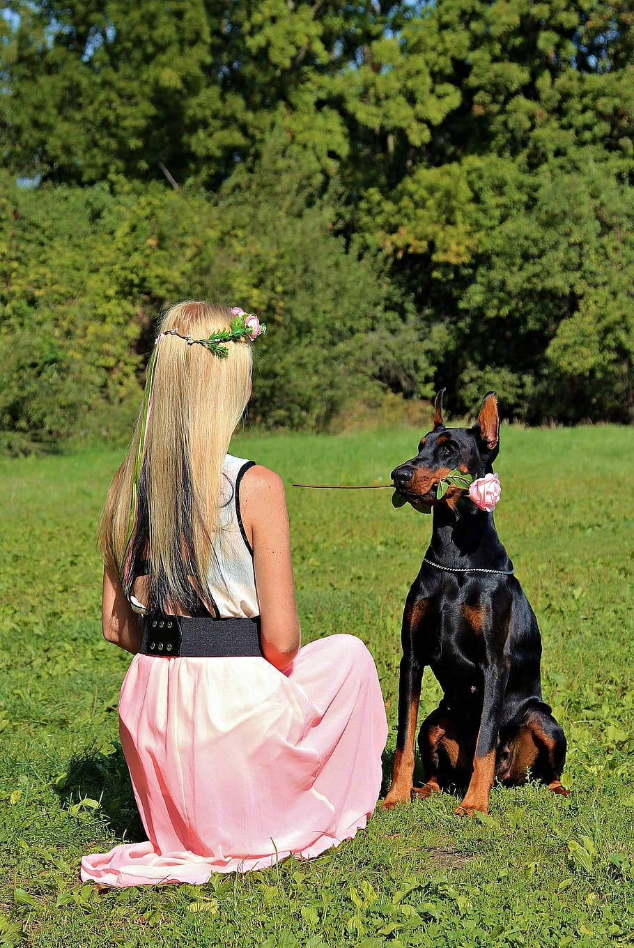 Dog And Girl Loving Each Other Background