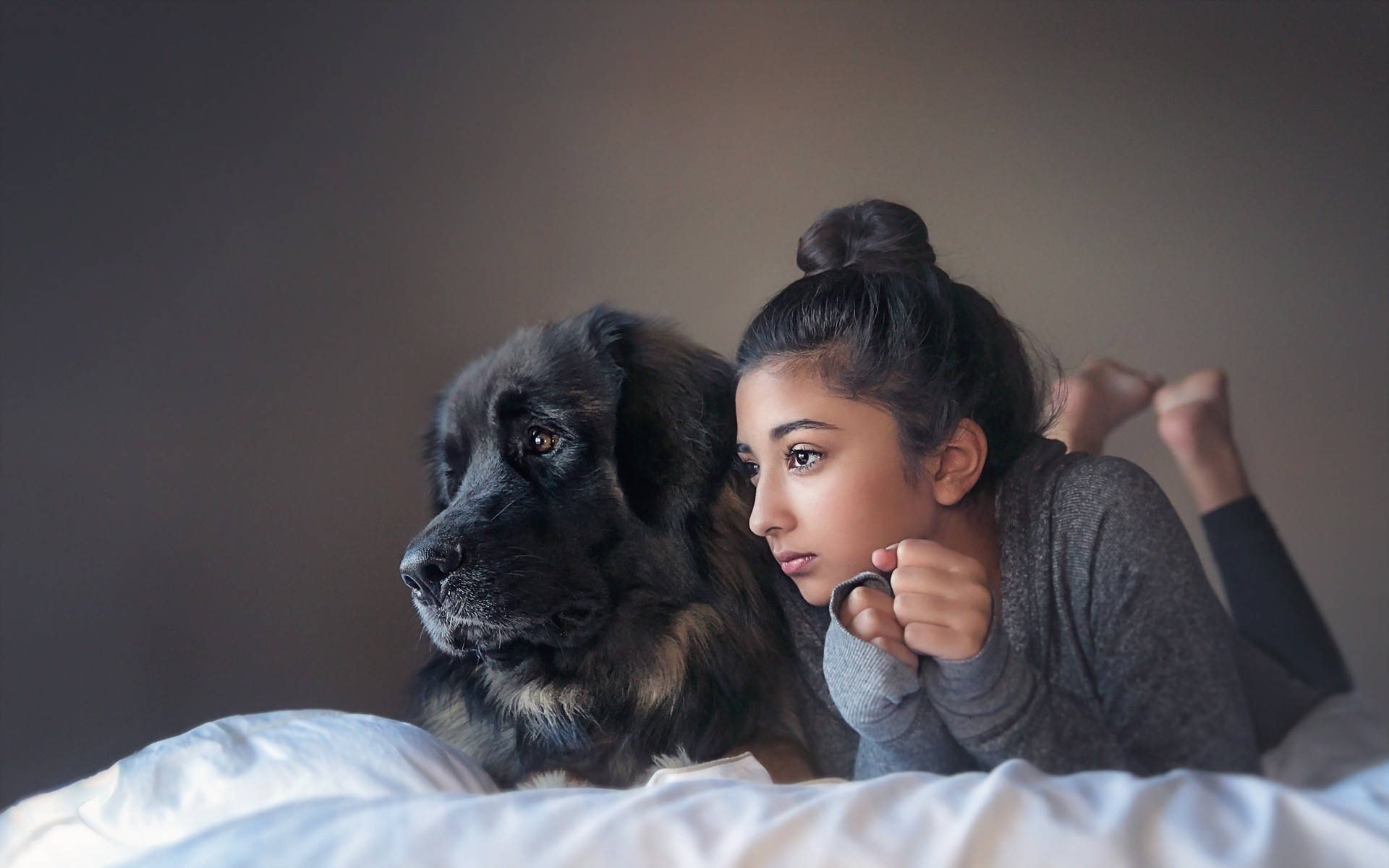 Dog And Girl Lying On A Blanket Background