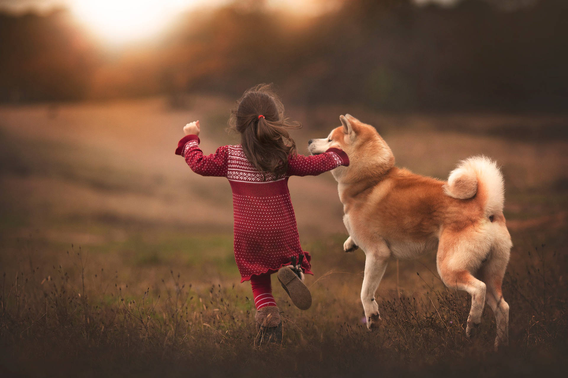 Dog And Girl Open Field Background