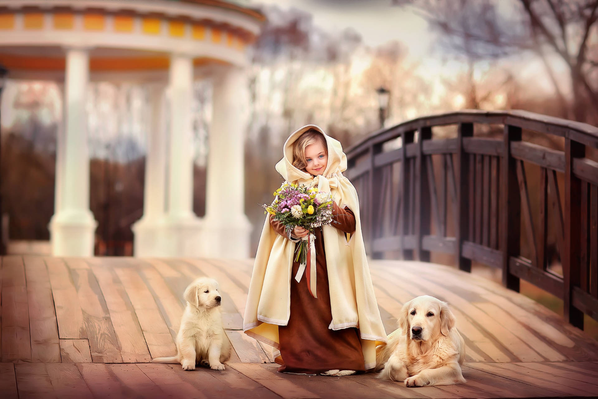 Dog And Girl Posing In A Park Background